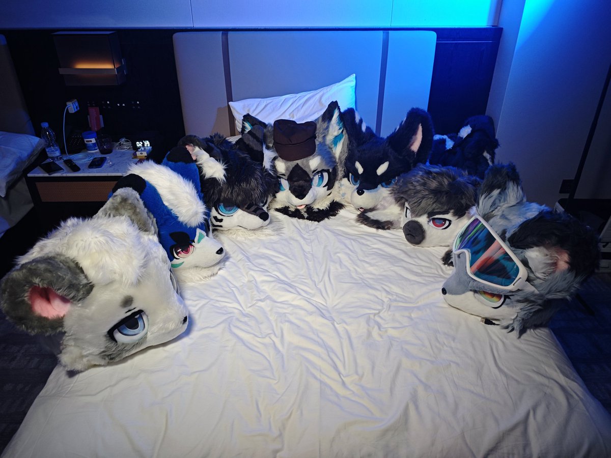 HF完全不够玩，累爆了~