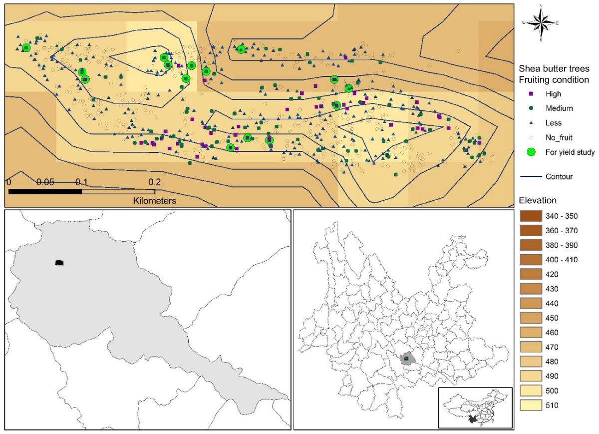 #CAS #SheaTree #Agroforestry   #Fruityield
From Ghana to the dry-hot valleys of China: assessing factors influencing fruit yield in agroforestry species Vitellaria paradoxa after 54 years of cultivation outside Africa.
<a href="/MaximumAcademic/">Maximum Academic</a>

Details: maxapress.com/article/doi/10…