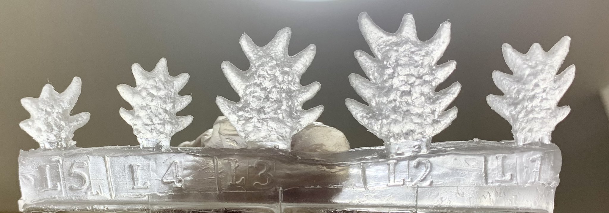 ❣️デストロイヤ〜マルサン❣️ ゴジラ・ストア限定 マルサン × こがねむし 超弩級デストロイア