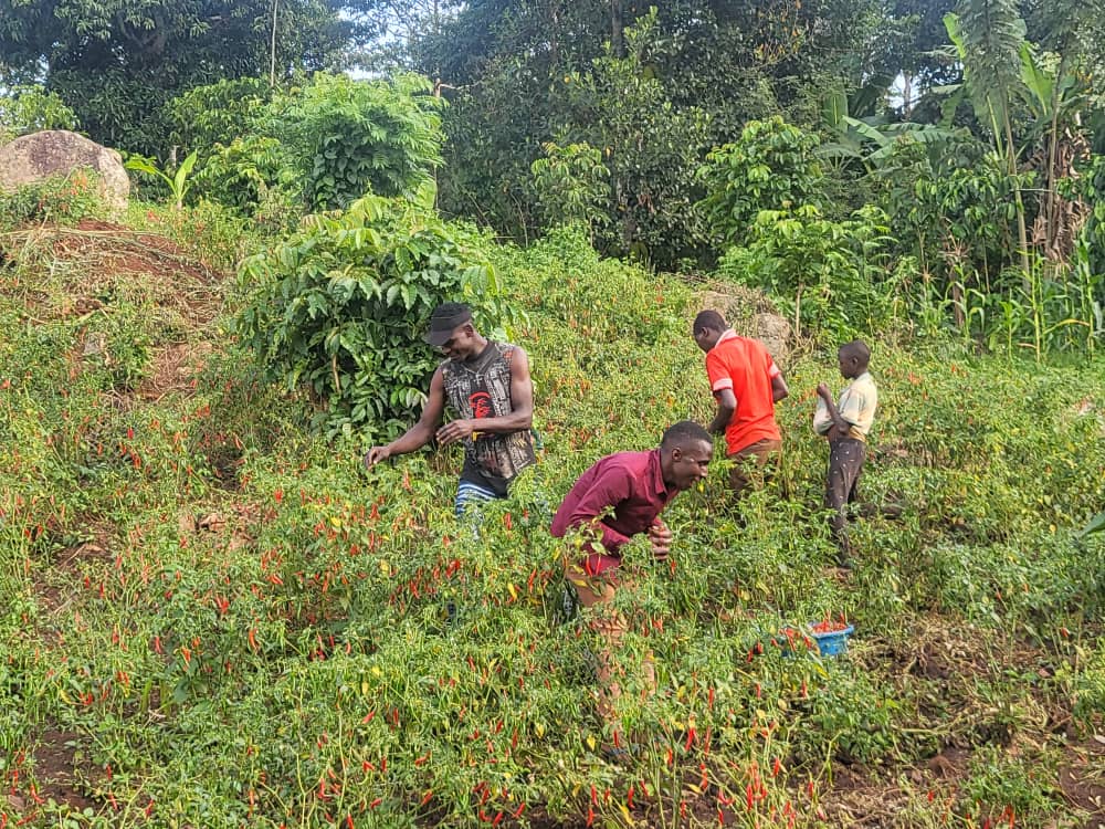 BusogaConsorti1's tweet photo. Every small step we take is a seed sown for a brighter tomorrow. With the inclusive participation of our youth, we shall transform our sub-region into a hub of opportunity, innovation, and shared prosperity.
#BusogaConsortium #TransformBusoga #YouthForDevelopment https://t.co/dRD0AfUIhp