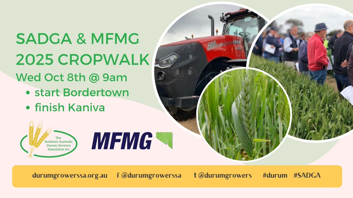 Have you registered? Wed OCT 8 - SADGA/<a href="/MacKillopGroup/">MFMG</a> combined cropwalks 
starts at Bordertown 9 am
all the finer details, maps &amp; rego link =>  durumgrowerssa.org.au
