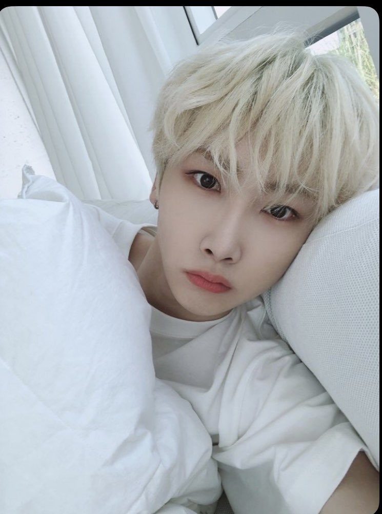 cerise⁺¹⭒˚.⋆ ≽^• ˕ • ྀི≼ tweet media