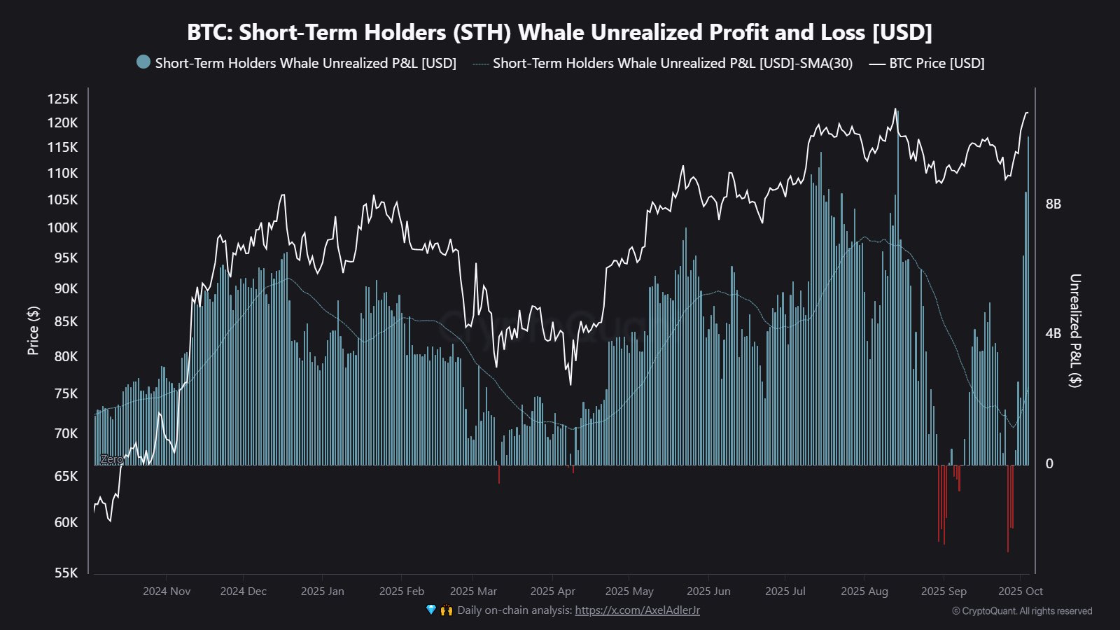 Bitcoin STH Whales P&L