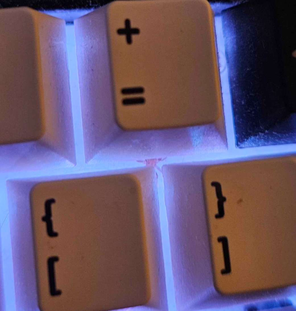 When you tryna type up the rest of the guide but another spider decides to jump in