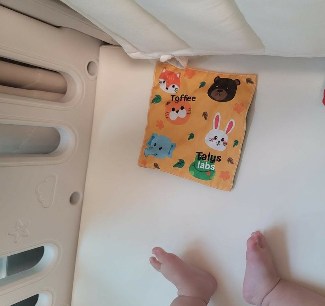 깽이.싸이식 tweet media