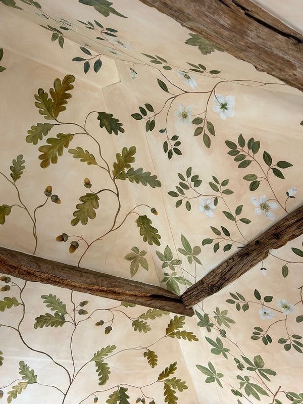 Bon dia!
¡Buenos días!