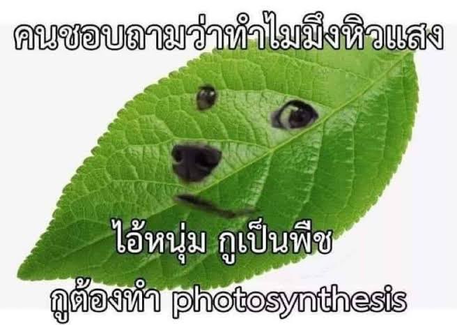 lnwza tweet media