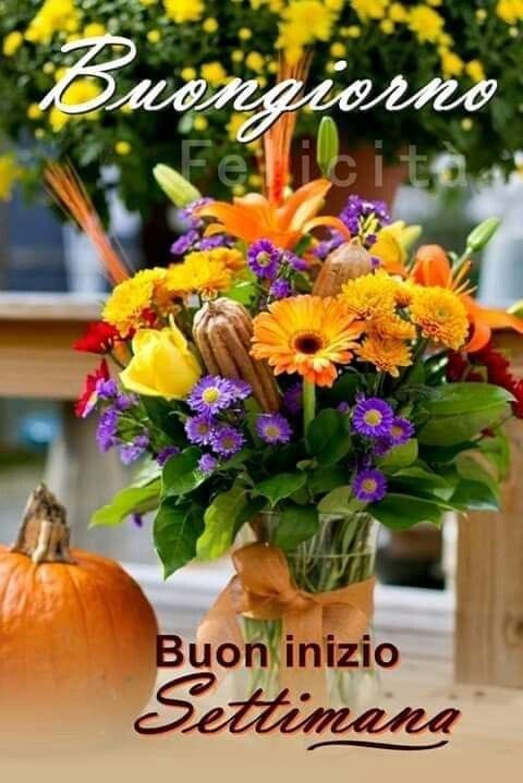 Buongiorno e buon inizio di settimana 💖