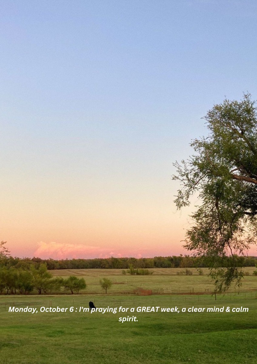 MillainNg's tweet image. 