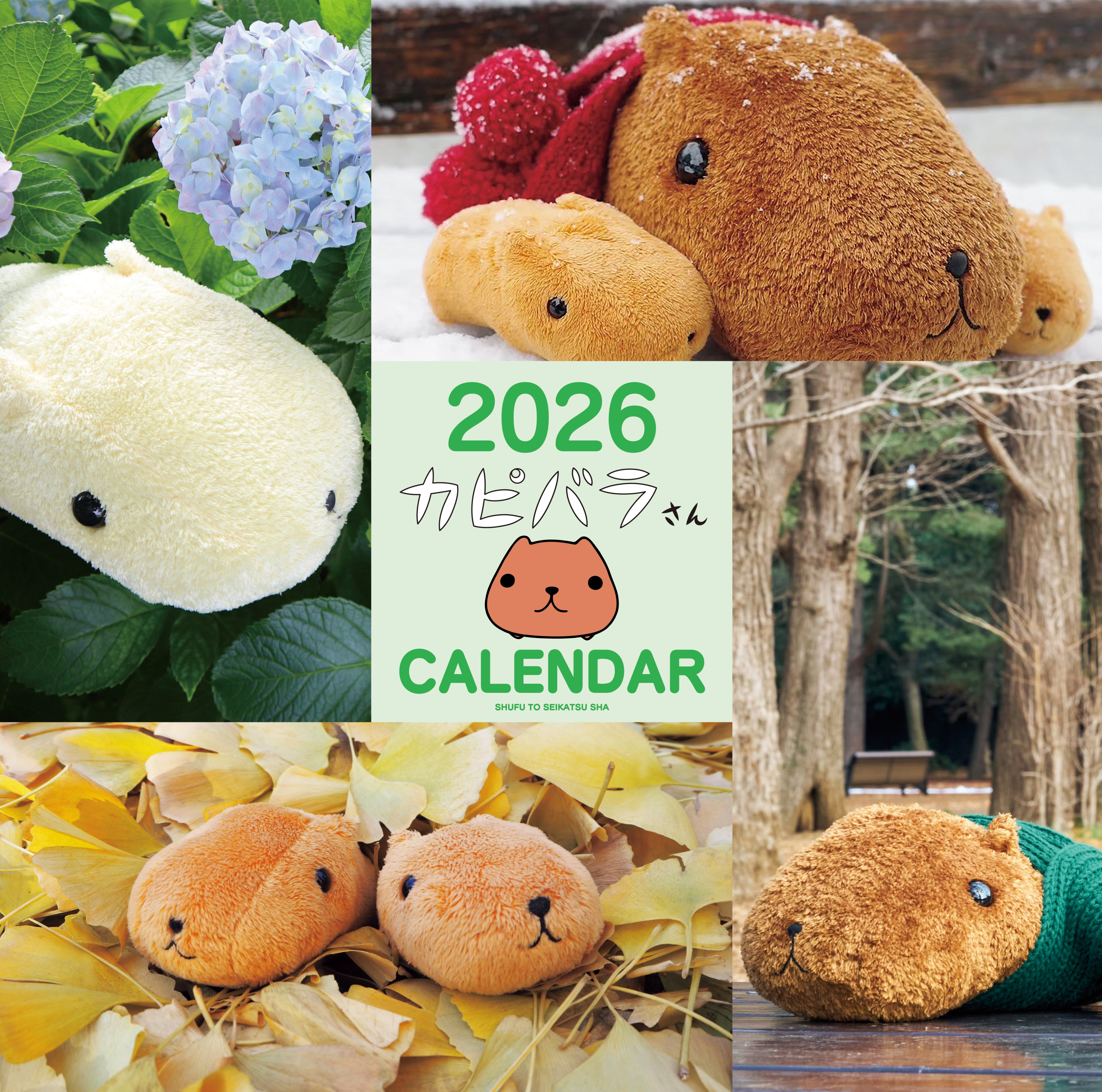 ⭐️カピバラさん⭐️ページ カピバラさん 公式サイト
