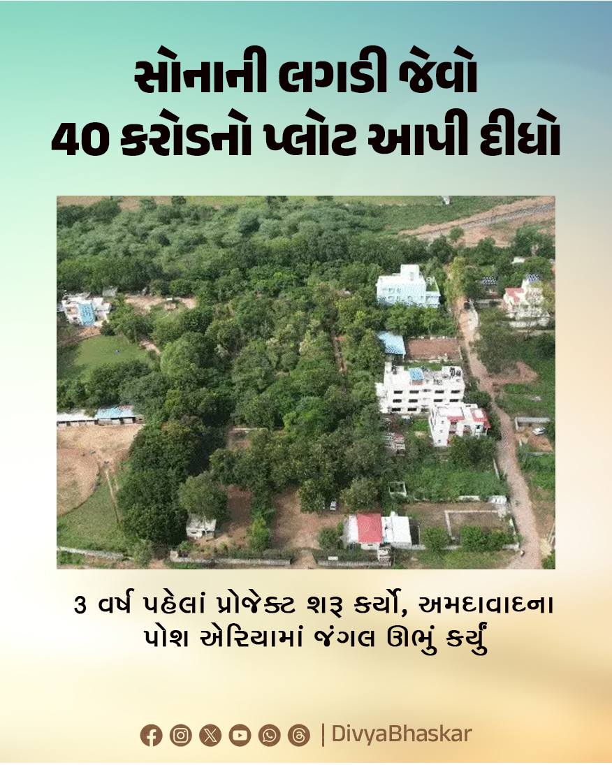 Divya_Bhaskar's tweet photo. સોનાની લગડી જેવો 40 કરોડનો પ્લોટ આપી દીધો : 3 વર્ષ પહેલાં પ્રોજેક્ટ શરૂ કર્યો, અમદાવાદના પોશ એરિયામાં જંગલ ઊભું કર્યું
https://t.co/AtS3QLMguW
#Ahmedabad #FriendsGroup #GreenWood #UrbanForest #TreePlanting https://t.co/RLmvu8PAJZ
