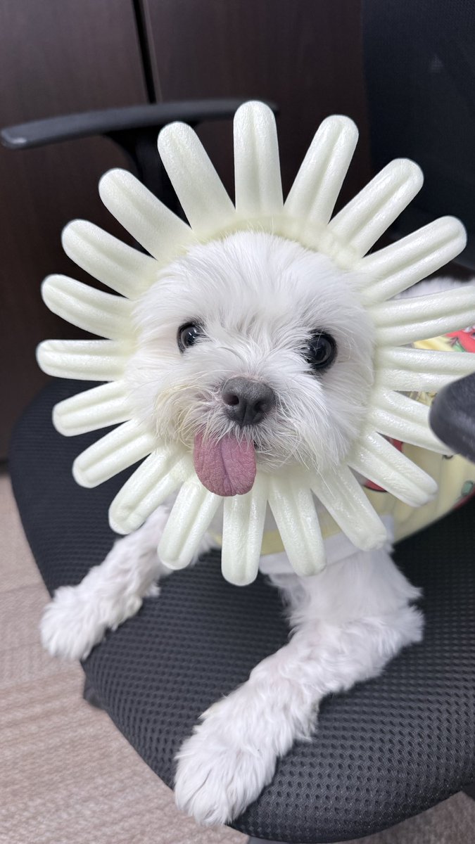 우리집 명절 필수 인증샷