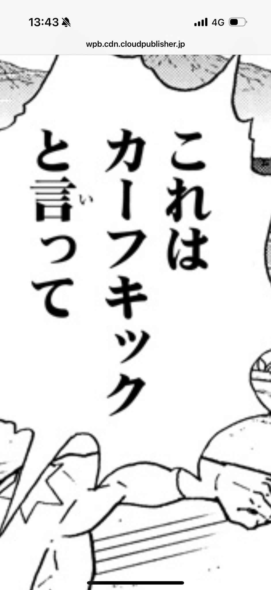 カーフキック東京 (@calfkicktokyo) / X