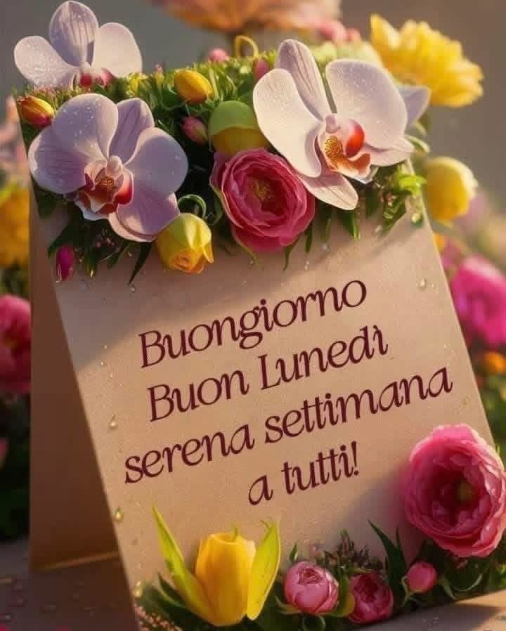 RITABIANCHi56 tweet media