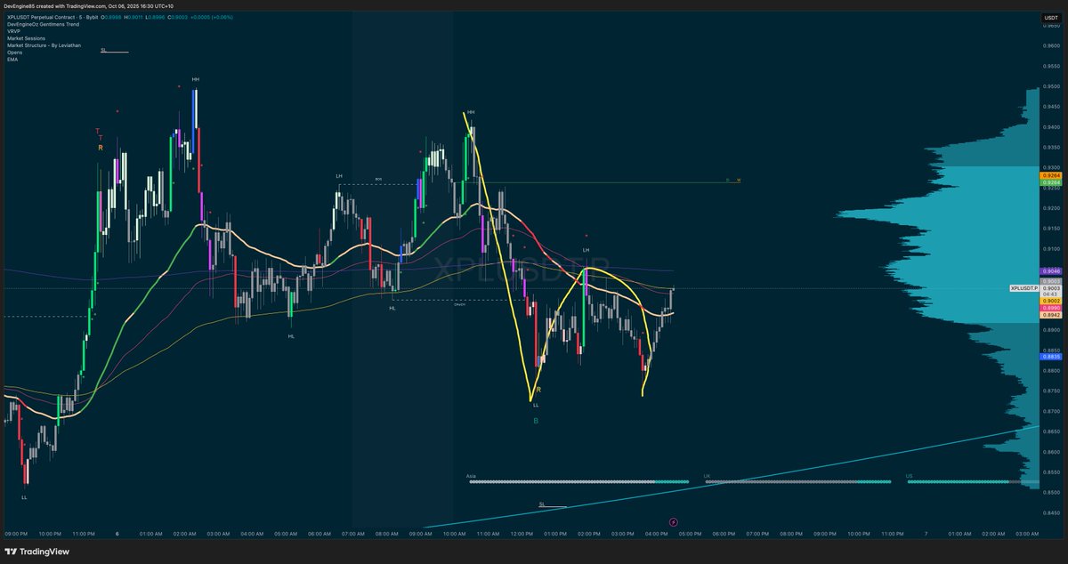 DevEngineOz's tweet image. Haaaaaychhhe $XPL