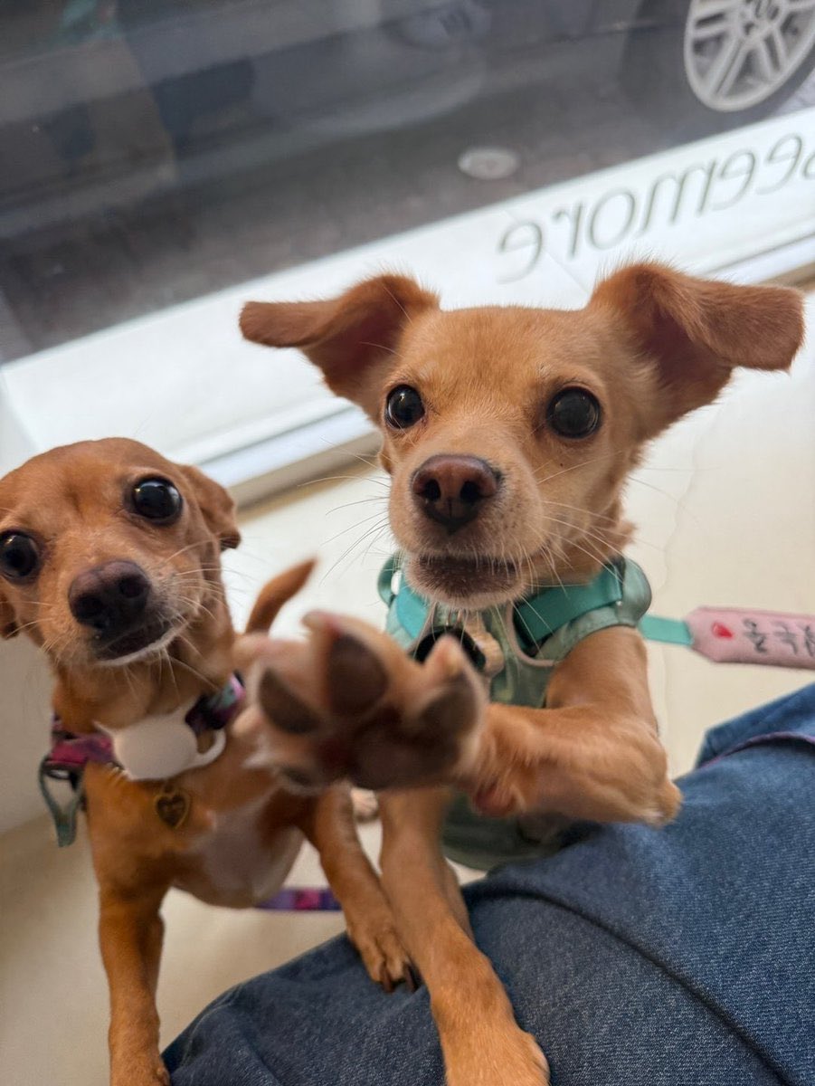 잠쉬만요!
제 ㄱㅏ됵 찾아주고 ㄱㅏ실게요!