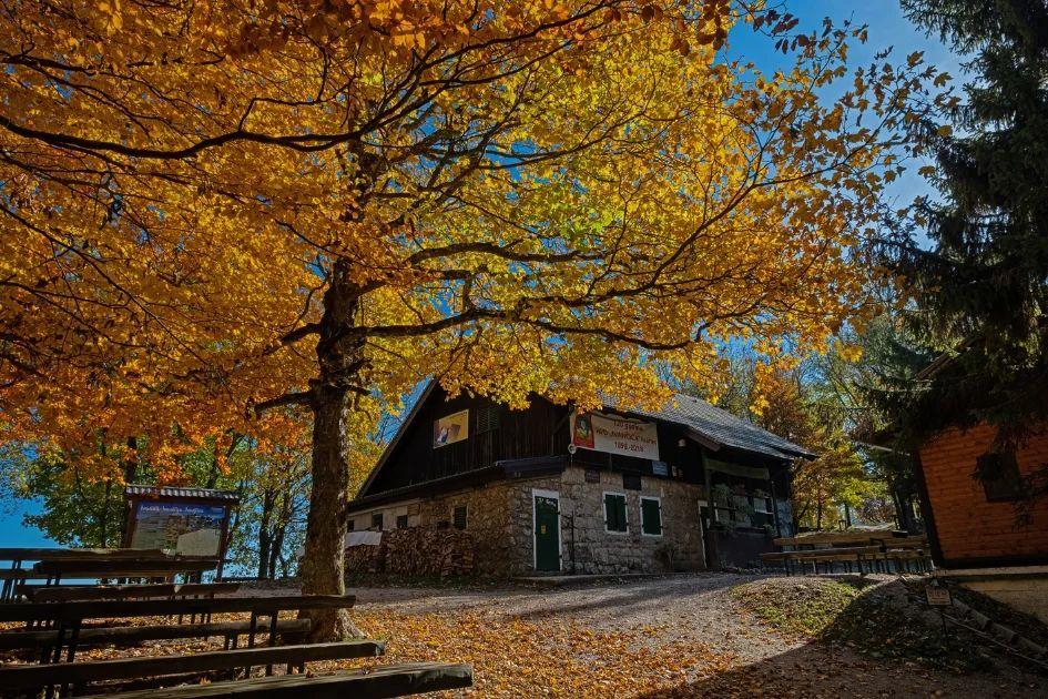 Ivanščica, the highest peak in northern Croatia, comes alive in autumn hues — a perfect escape for nature lovers. 🌄🍂
 
📷 berg.whisperer
#CroatiaFullOfLife