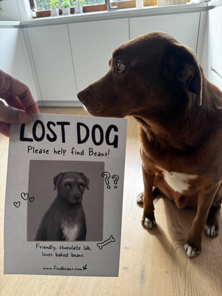 madcarnigames's tweet photo. Alfie not a big fan of this pose either...
See you at PAX Friday! Sans dog... 'cause Beans is missing and Alfie is not at all interested.
#PAXAus #dogsoftwitter #FindBeans #IndieDev #NarrativeAdventure https://t.co/M4MWuplpNc