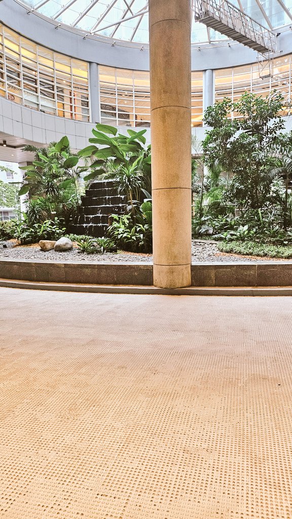 PenitentJuan's tweet photo. Random touch grass moments https://t.co/IRnprWLKYu