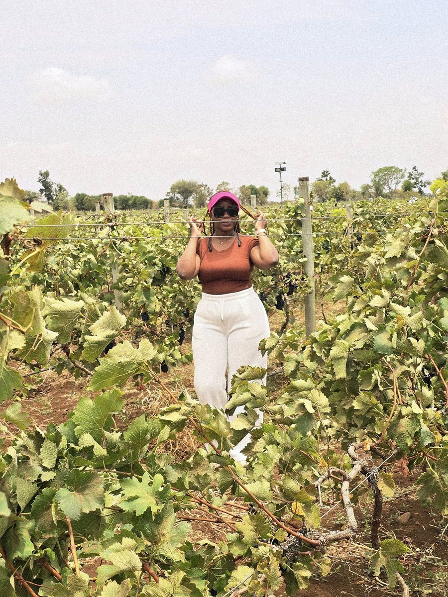 La Sambara Wines tweet media