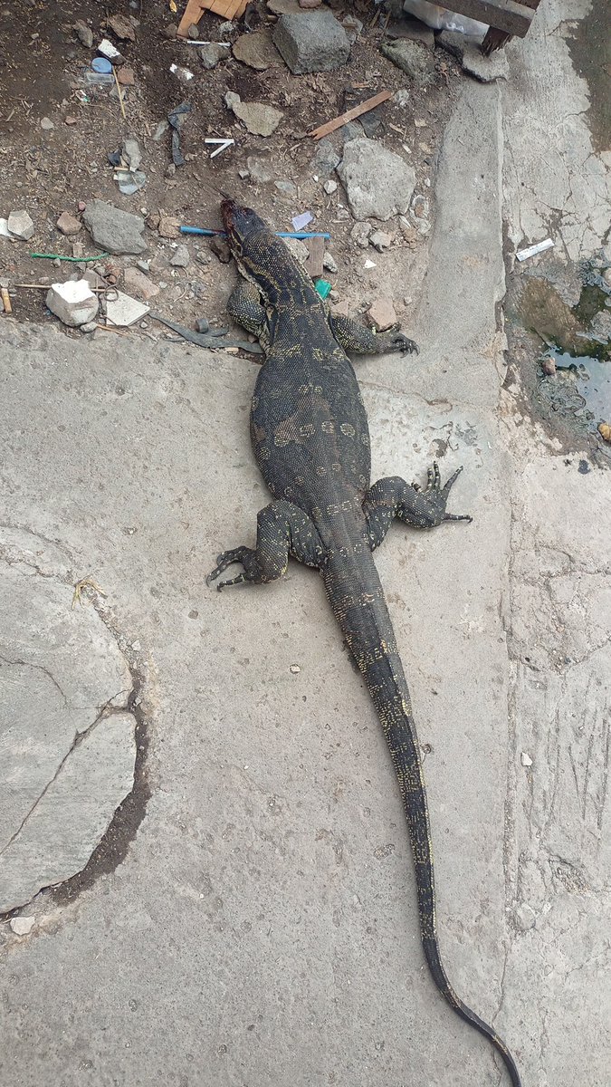 Hujan Air tweet media