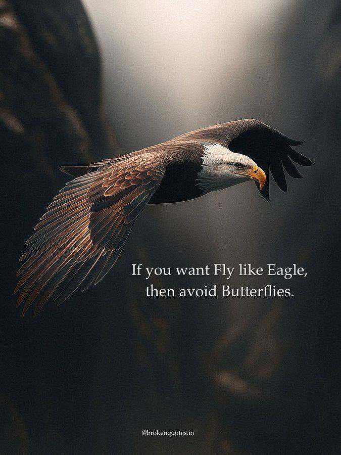 Raajesha GV tweet media