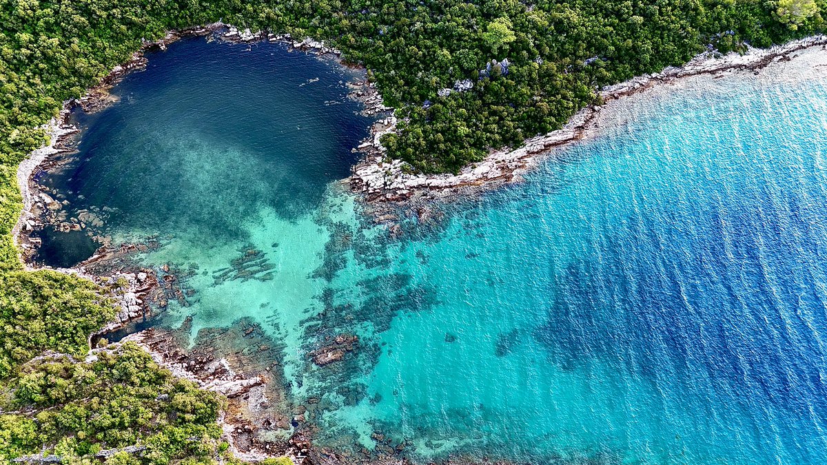 Burnasso tweet media