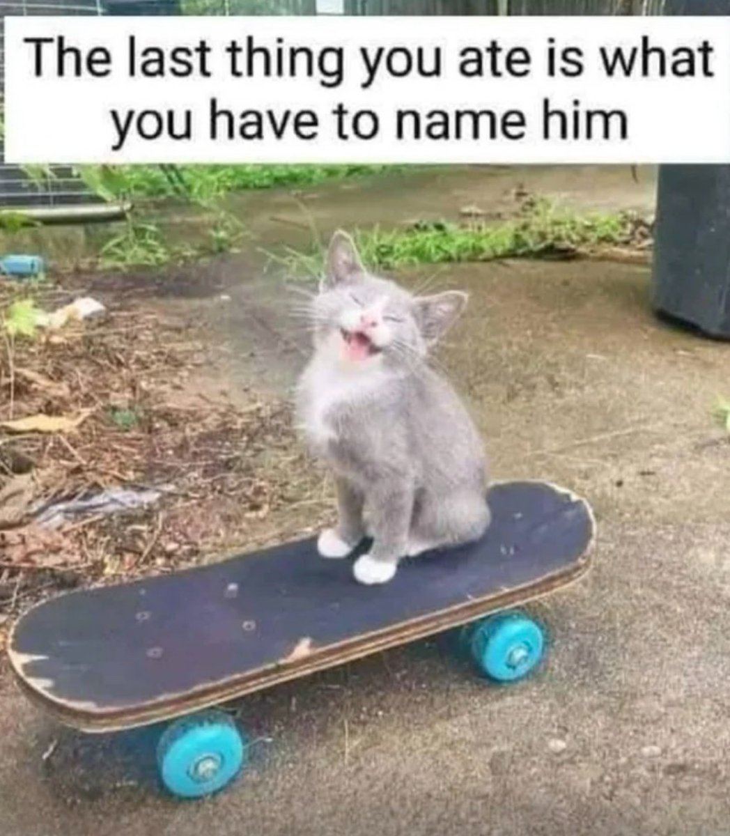 Respectful Memes tweet media