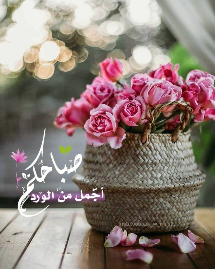 KhitamAziz's tweet photo. @ENGE246800 @q___th https://t.co/wTfmBPC05C