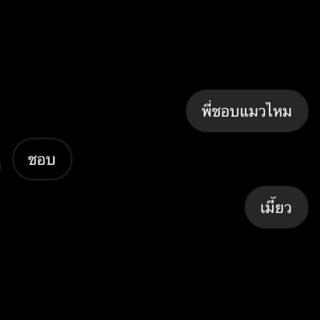 ต้นฟ้า ⋆˚ʚɞ tweet media