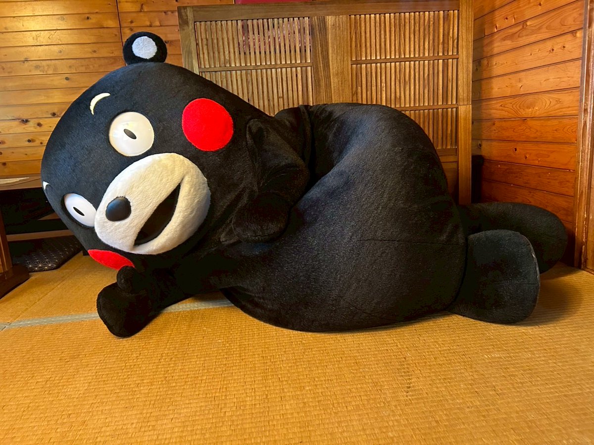 くまもん様　専用　 火曜日発送予定　木曜日午前中着指定 くまもん様 専用 火曜日発送予定 木曜日午前中着指定 | その他
