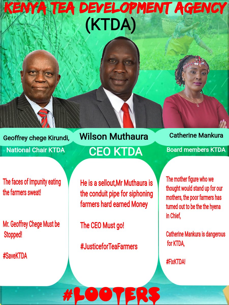 Bill_Valar's tweet photo. The 2016 Kericho Governor case illuminated director-led looting, but reforms stalled, allowing ongoing exploitation that keeps tea farmers trapped in poverty despite their labor-intensive harvests. #FixKTDA KTDA Looters. https://t.co/TCqRloKOQ7