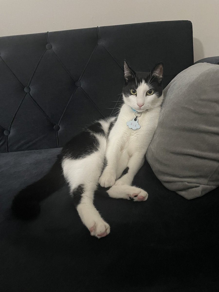 bak ane bemi izliolaRrr!!! Jubu5