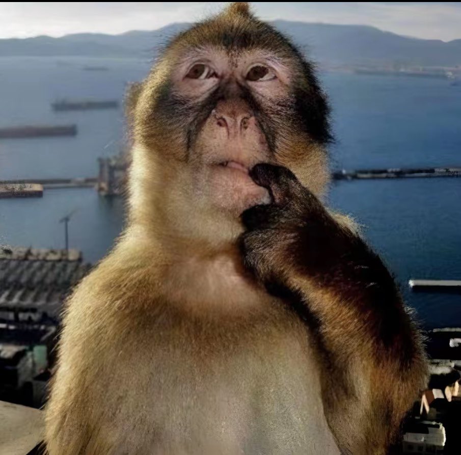 doctors are like the forward deployed engineers of healthcare