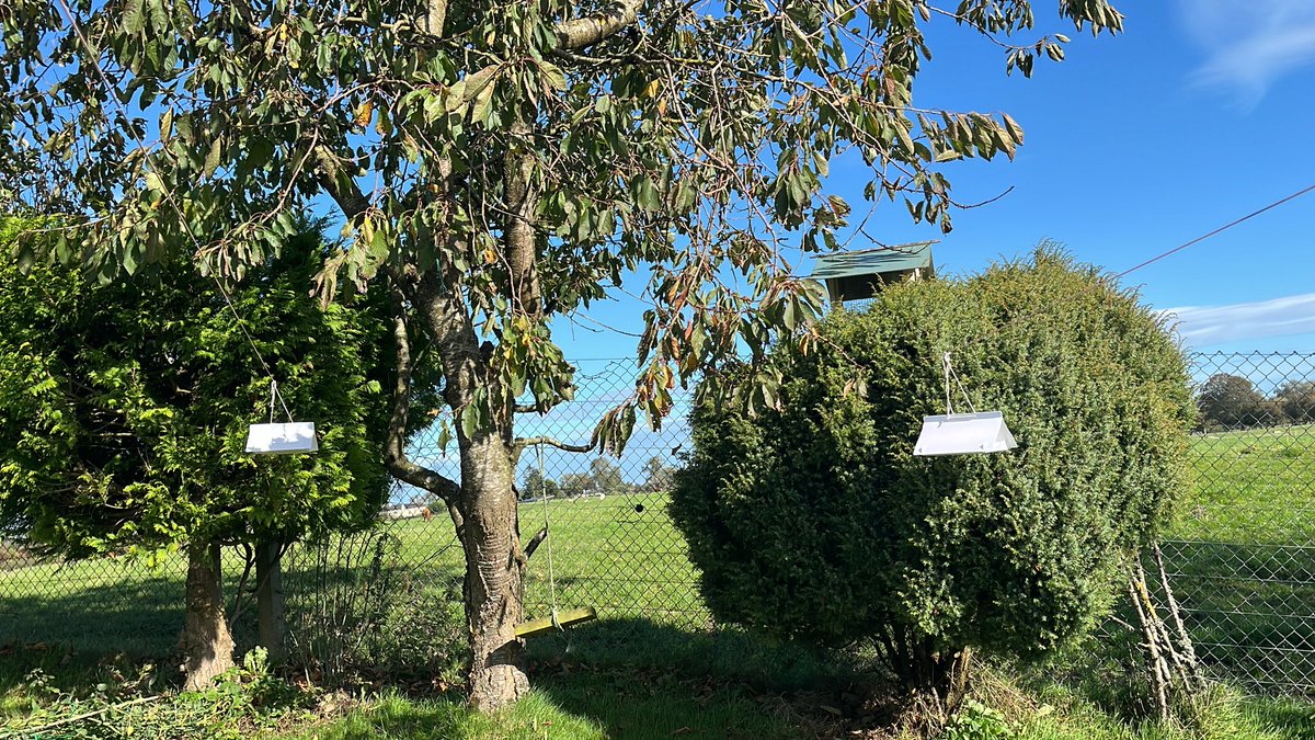 Aine Adams PhD tweet media