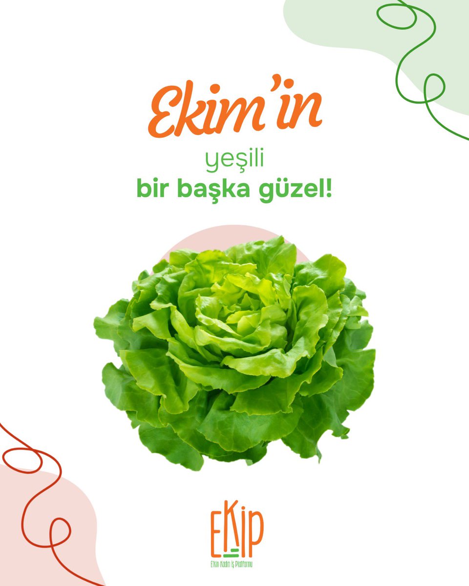 Sonbahar geldi ama doğa hala cömert…

Ekim ayında toplanan yeşillikler, Ekip Platformu’nun kadınları tarafından özenle hazırlanıyor, tazeliğini koruyarak sofranıza ulaşıyor. 💚

Roka, maydanoz, taze soğan, marul ve daha fazlası...