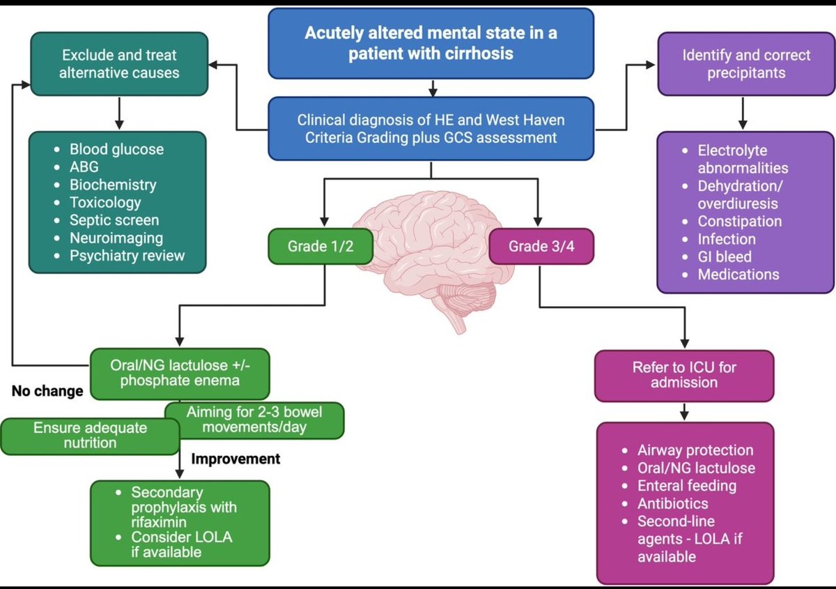 CMEINDIA1's tweet image. Approach to Acutely Altered Mental State in Cirrhosis (Hepatic Encephalopathy)
@medflutter_
🔍 Step 1: Exclude &amp;amp; Treat Alternative Causes

Check: Blood glucose, ABG, biochemistry, toxicology, septic screen, neuroimaging, psychiatry review.

⚡ Step 2: Identify &amp;amp; Correct…