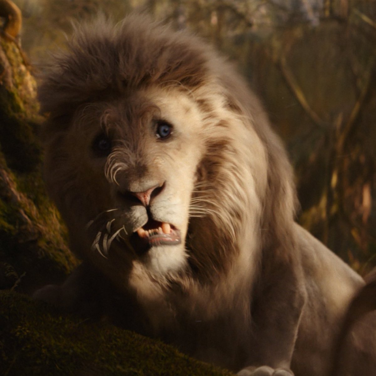 wickedcomfort's tweet image. Wicked                                Wicked: For Good