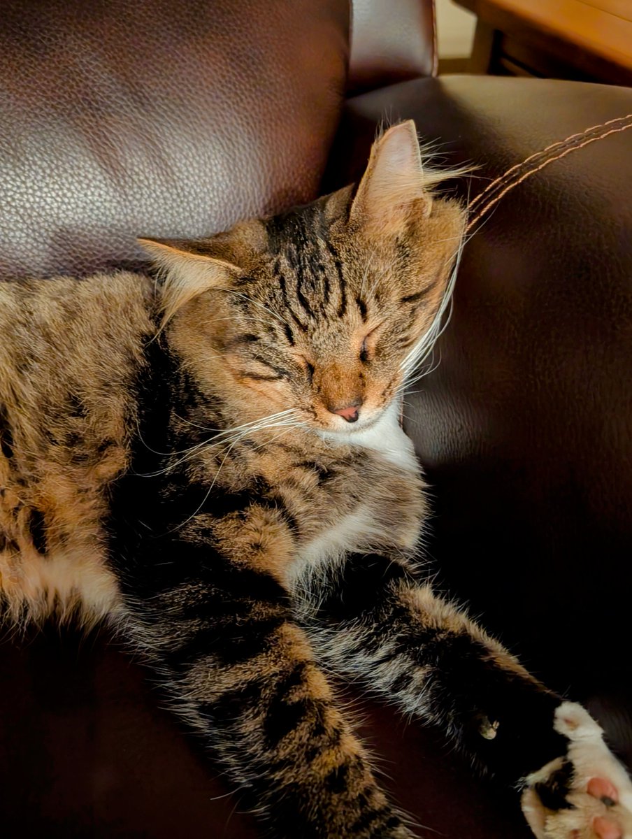 Good morning, 𝕏! Monday, Monday, Monday... Bob has the right idea. 🥱