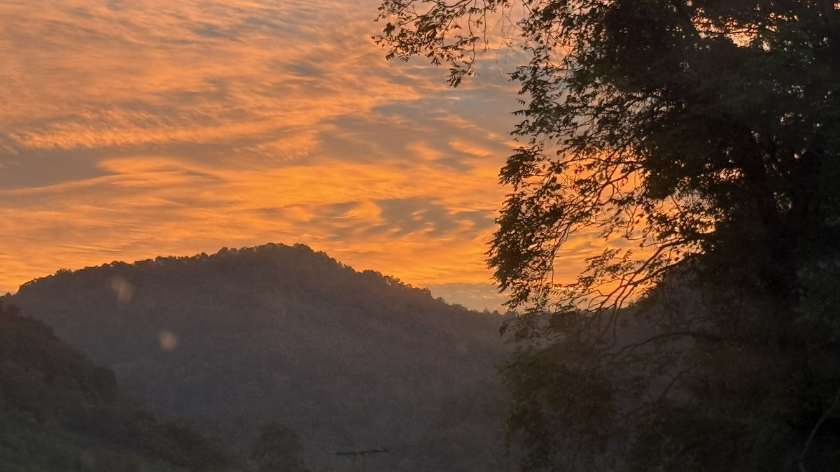 _CoachMike's tweet image. A beautiful Monday sunrise here in West By God!