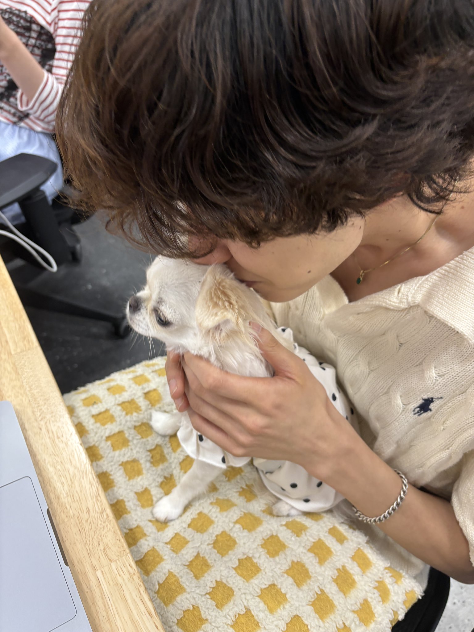 しゅーへいさん専用 SHUHEI (@s629217) / X