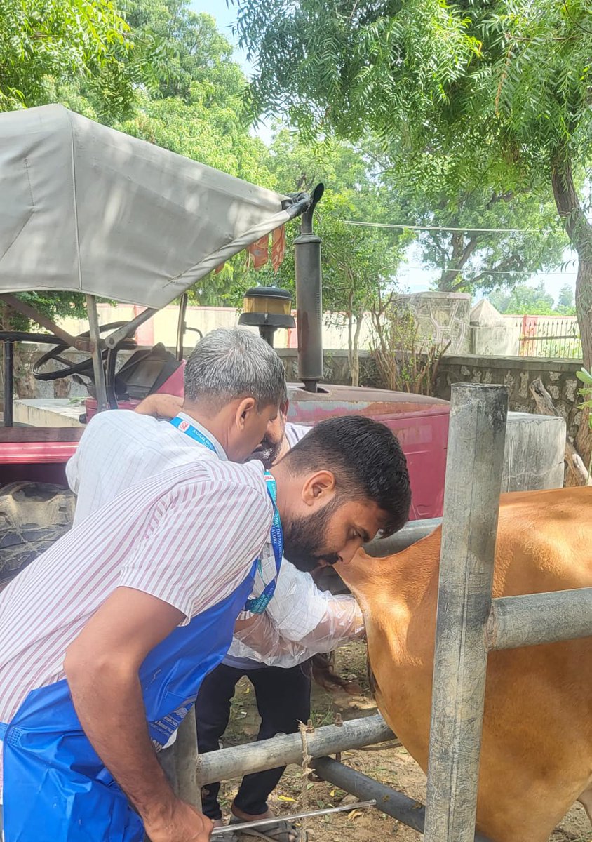 rajanimalhus's tweet image. जालोर में कृत्रिम गर्भाधान प्रशिक्षण सफलतापूर्वक आयोजित। पशुपालकों को आधुनिक तकनीक से जोड़ने की प्रभावी पहल।
#पशुपालन_विभाग #AITraining #Jalore 
#animalhusbandry #animalcare