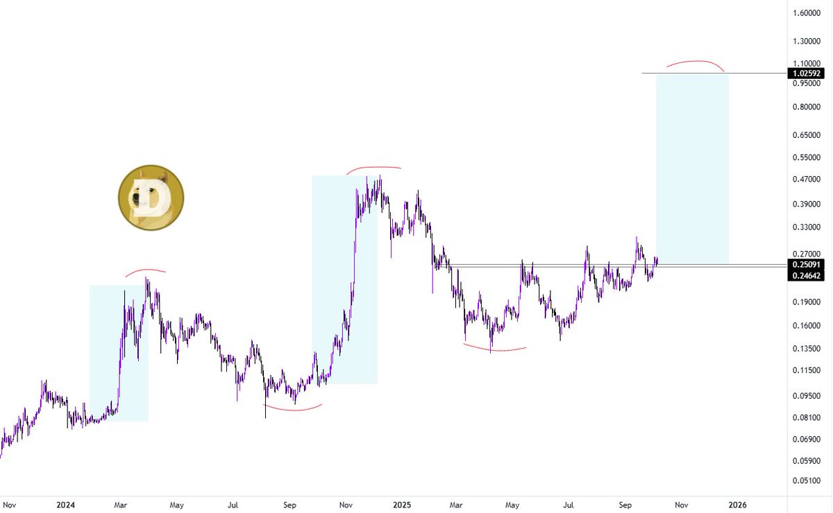 $DOGE - is about to go vertical.