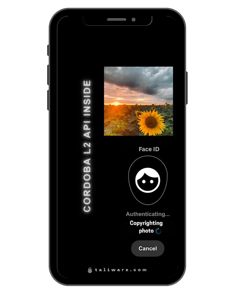 tarik TALI tweet media