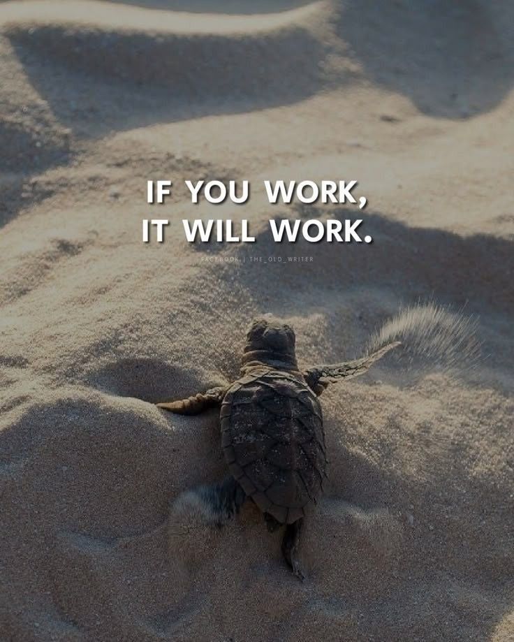 ManOfFocus_'s tweet image. Have some faith, bro.