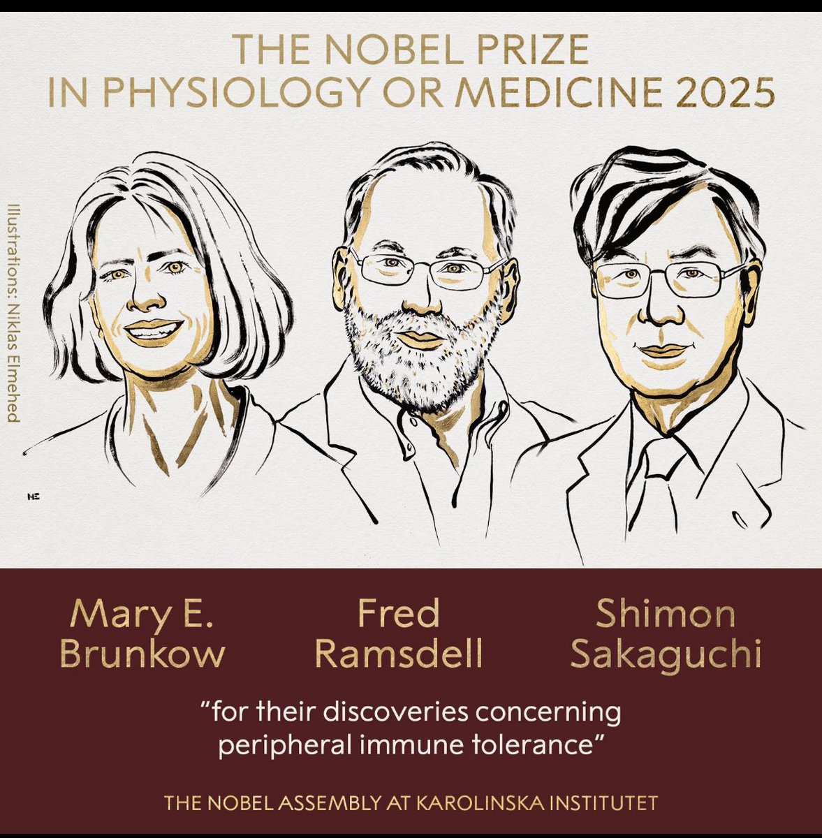 2025 Nobel Tıp Ödülü, bağışıklık sisteminin dengeleyici gücünü keşfeden Brunkow, Ramsdell ve Sakaguchi’ye verildi.
Treg ve FOXP3 keşfi otoimmün hastalıklar &amp; kanser tedavilerinde yeni bir çağ başlattı.

#NobelPrize #Treg #FOXP3 #Immunology
🔗 nobelprize.org