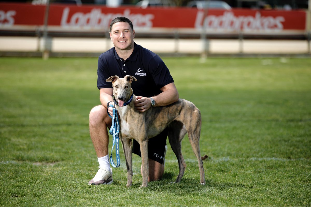 💚 Forever Greytful. 💚

How good is this — Rugby League star Mitch Moses has joined forces as a GAP Ambassador, helping shine a light on just how beautiful and gentle these greyhounds are — both on and off the track. 🏉🐾

📸 The Dogs