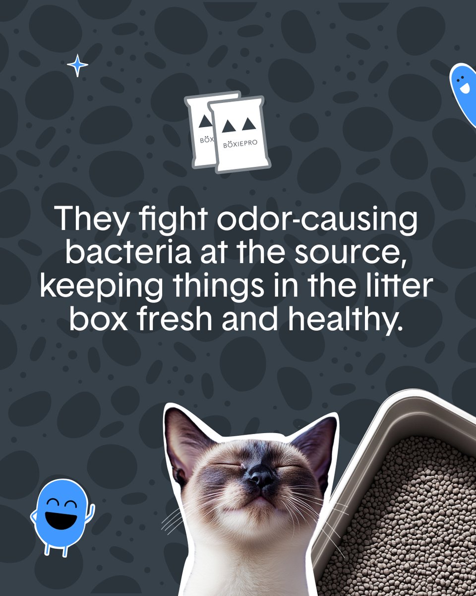 HelloBoxiecat tweet picture