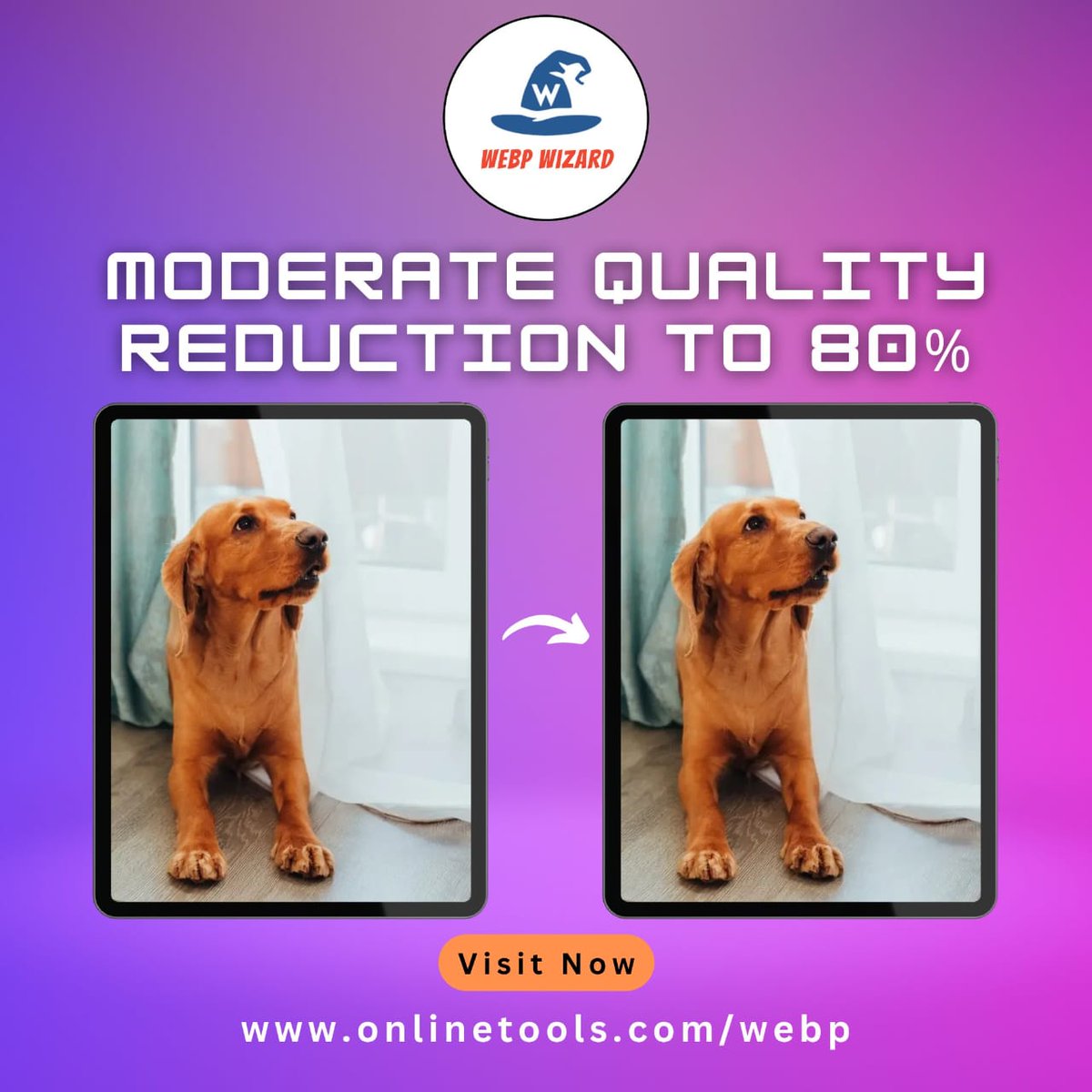 WebpWizard's tweet image. In this example, we moderately reduce the quality of a WebP image of an adorable pupper.
Try our tool - onlinetools.com/webp/change-we…
#browserling #webpquality #imageoptimization #webptools #digitalimage #imagecompression #webpconverter #onlinetools #imageediting #webpformat