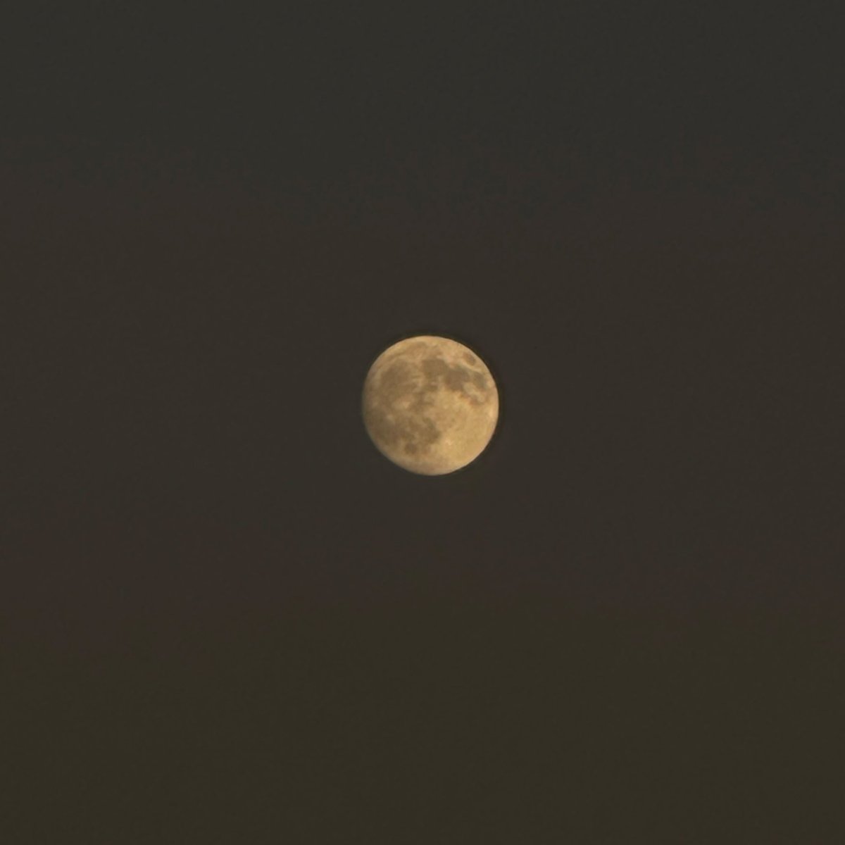 lostinlune_'s tweet photo. “Bizlerden hüznü gideren
Allah’a hamd olsun…”✨ https://t.co/Dk31imsiwg